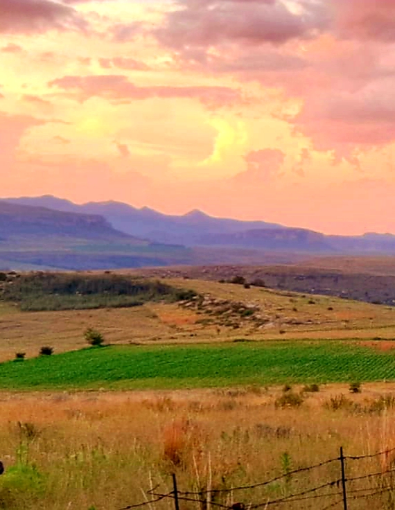 9 Bedroom Property for Sale in Fouriesburg Free State